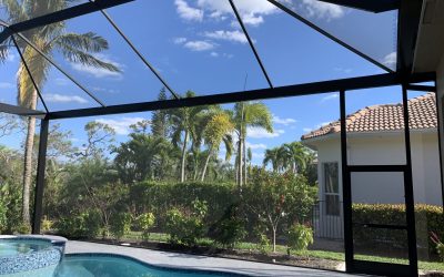 5 Environmental Benefits of Pool Enclosures: A Smart and Sustainable Choice